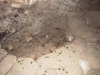 Casa de momia 1.jpg